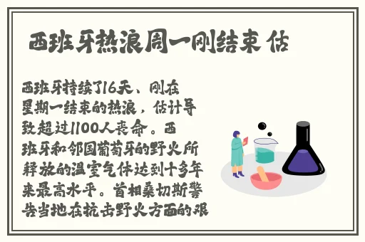 老年镖客视频播放时